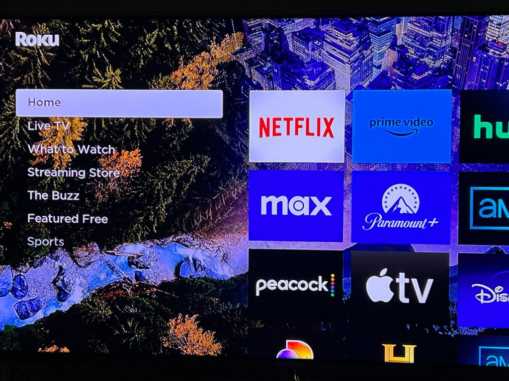 max-roku-home-screen.jpg